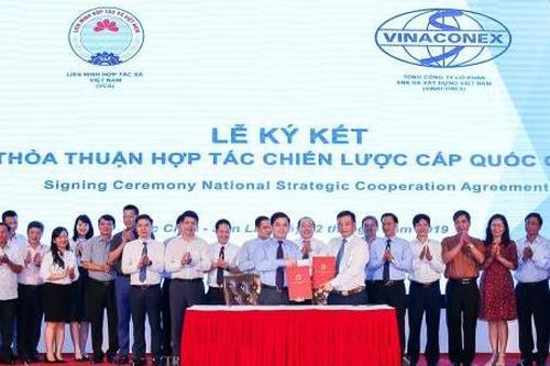 Vinaconex tham gia phát triển kinh tế hợp tác, hợp tác xã