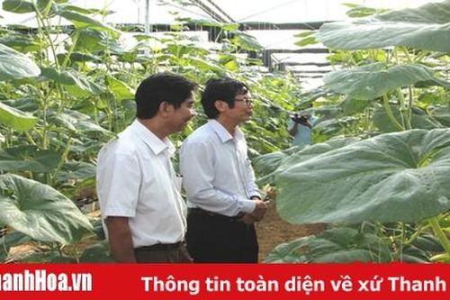 Chuyển biến từ liên kết sản xuất, tiêu thụ sản phẩm tại huyện Vĩnh Lộc