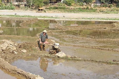 Bắc Yên vào vụ mùa