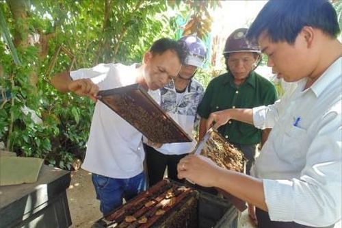 Đời sống Đời sống Khó kiếm việc làm sau đào tạo nghề