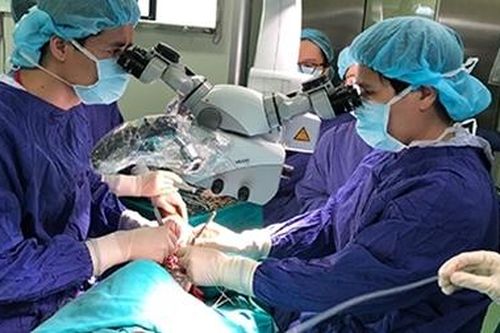 Bi hài chuyện nối 'của quý'