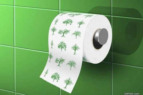 Nhiều khu rừng bị đe dọa vì các công ty giảm sản xuất giấy tái chế