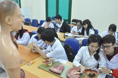Người hành nghề khám, chữa bệnh phải tham gia kỳ thi quốc gia
