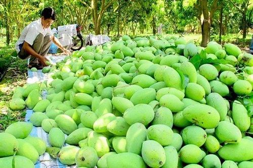 Giá cả, chất lượng, bản địa là ba yếu tố quan trọng để nông sản chinh phục thị trường Mỹ
