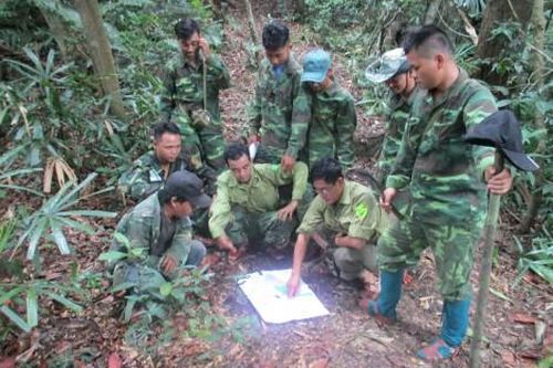 Kinh tế Kinh tế Tiến đến chấm dứt cơ bản mọi hành vi vi phạm pháp luật về lâm nghiệp