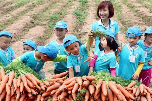 Giảm tình trạng mất cân bằng giới tính khi sinh: Tránh nhiều hệ lụy