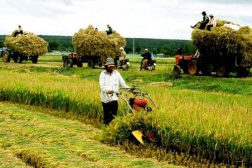 Hàn Quốc hỗ trợ 4,5 triệu USD phát triển nông nghiệp Đồng bằng sông Hồng