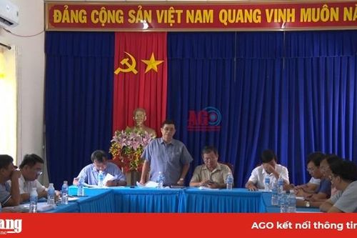 Phú Tân công bố dịch tả heo Châu Phi