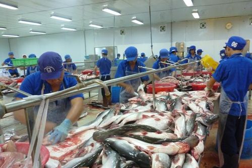 Hiệp định ATIGA 'mở lối' cho cá tra Việt sang thị trường ASEAN