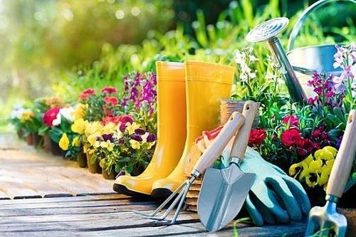 Thúc đẩy ứng dụng công nghệ thông minh 4.0 trong lĩnh vực làm vườn