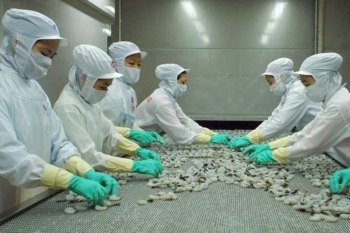 EVFTA và kỳ vọng của doanh nghiệp
