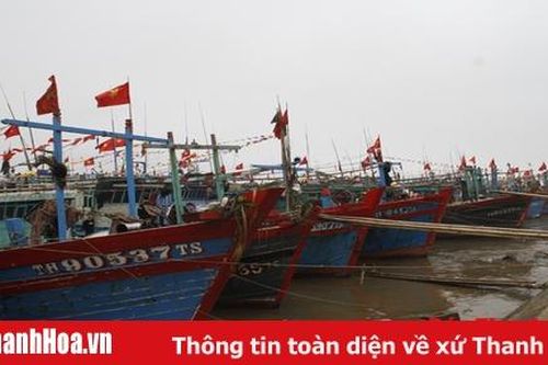 Xã Hoằng Trường đẩy mạnh khai thác hải sản