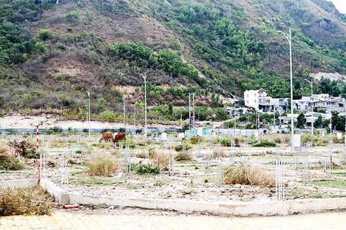 Kiểm tra dự án Khu nhà ở gia đình quân đội tại phường Vĩnh Hòa