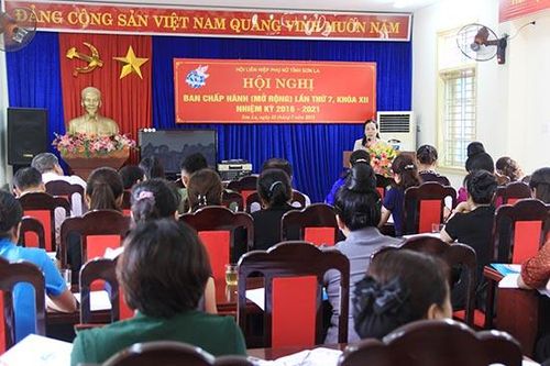 Hội Liên hiệp Phụ nữ tỉnh: Hội nghị Ban Chấp hành (mở rộng) lần thứ VII, khóa XII, nhiệm kỳ 2016-2021