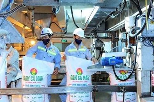 Đạm Cà Mau lợi nhuận 6 tháng đầu năm 2019 đạt 55% kế hoạch năm