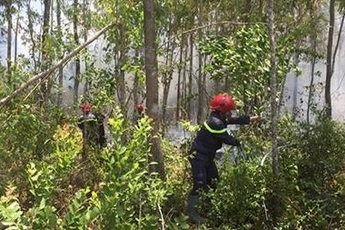 Cháy rừng tại núi Phú Gia, Quảng Ngãi