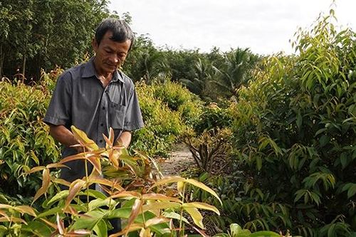 Những người nông dân với 'tấc đất, tấc vàng'