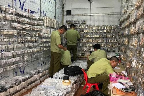 Tem chống hàng giả bị làm giả