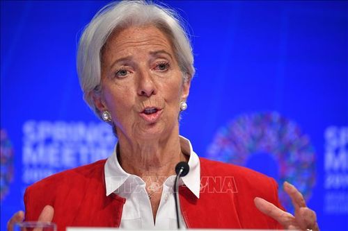Tổng Giám đốc IMF đệ đơn từ chức