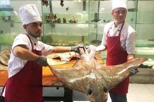 Ăn món cá 'không khỏe' ở Sài Gòn
