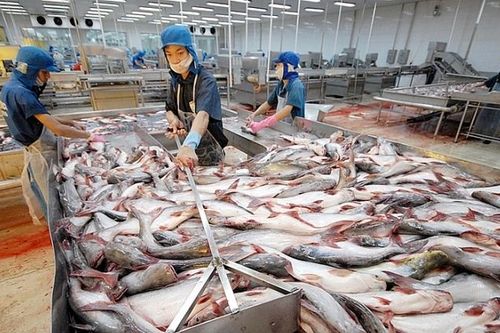 Xuất khẩu nông, thủy sản sang Trung Quốc: Sao còn phân biệt 'khó tính, dễ tính'?