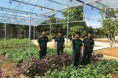 Chính trị - Xã hội Chính trị - Xã hội Tăng gia giỏi