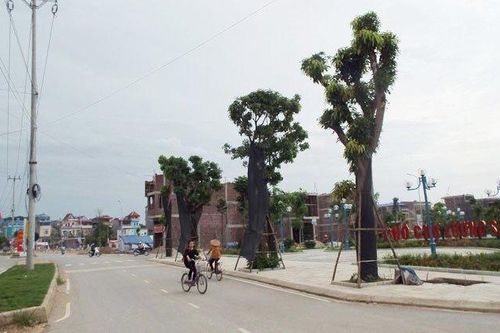 Hướng dẫn tính chi phí cho công việc lập báo cáo đánh giá tác động môi trường