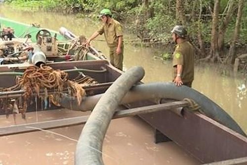 Thông tin từ đường dây nóng
