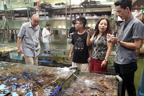 Đề án chống thất thu thuế đã hiệu quả?