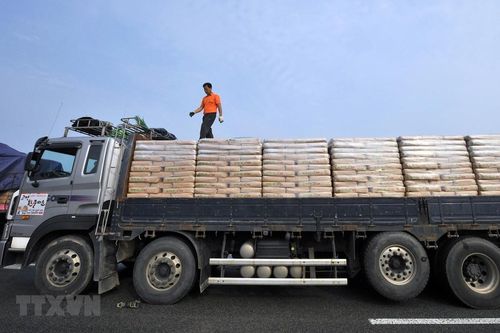 FAO: Gần 50% dân số Triều Tiên thiếu ăn