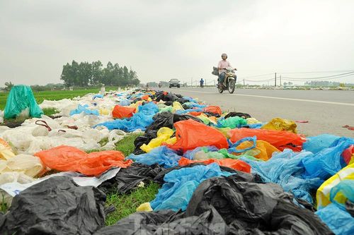 Thảm họa môi trường từ túi nilon, rác thải nhựa