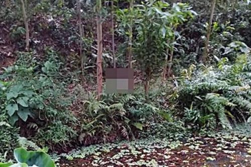 Tá hỏa phát hiện thi thể nam giới phân hủy trong rừng keo