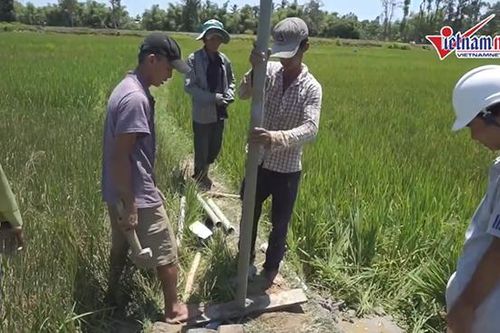 Dân Quảng Nam khốn khổ vì hạn hán, lúa chết cháy hàng loạt