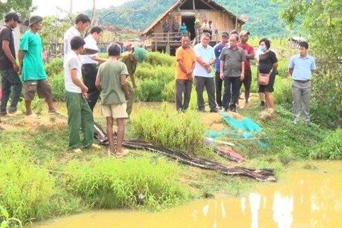 Tắm ao sâu trước nhà, 4 em nhỏ trong cùng một gia đình đuối nước tử vong
