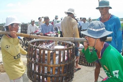 Tuân thủ quy tắc xuất xứ để thủy sản hưởng lợi khi xuất khẩu