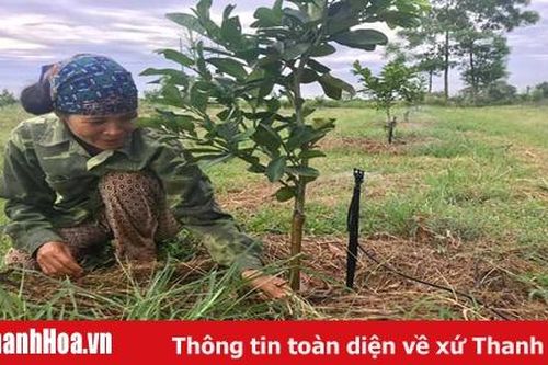 Ứng dụng công nghệ tưới tiên tiến vào trồng cây ăn quả