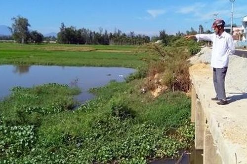 Ruộng đồng bỏ hoang vì úng thủy giữa... cao điểm mùa hạn