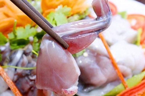 Thịt cóc - 'thần dược' chống còi xương hay nguy hiểm chết người?