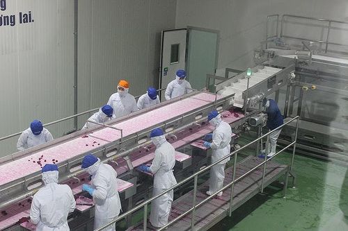 Gia tăng sản phẩm có giá trị thương mại lớn sang EU