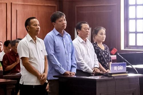 Phiên tòa phúc thẩm vụ án buôn lậu gỗ ở Đà Nẵng: Nhiều vấn đề từng được Báo Công lý nêu