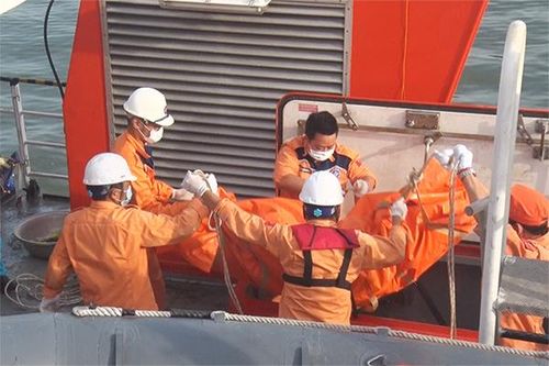 Xét nghiệm ADN 2 thi thể thuyền viên tàu cá Nghệ An bị đâm chìm