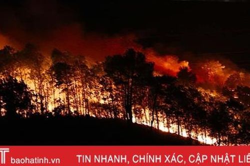 UBND tỉnh Hà Tĩnh chỉ đạo kiểm điểm trách nhiệm liên quan cháy rừng ở Hương Sơn