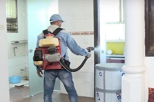 Sốt xuất huyết vào mùa, Bộ trưởng Bộ Y tế đề nghị các tỉnh quyết liệt phòng, chống dịch