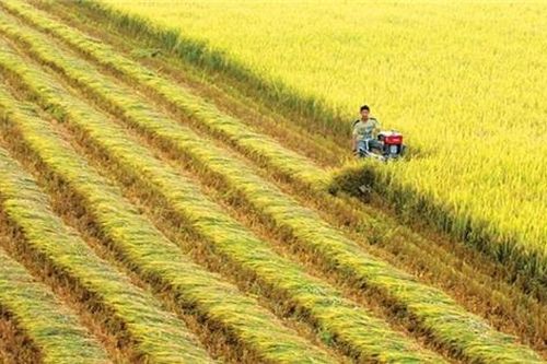 Thụy Sỹ tài trợ 1,45 tỷ đồng giúp Việt Nam quản trị các vựa lúa bằng công nghệ viễn thám