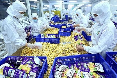 Mở rộng thị trường xuất khẩu cho nông sản