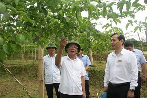 Đồng chí Bí thư tỉnh ủy thăm và làm việc tại huyện Mộc Châu và Vân Hồ