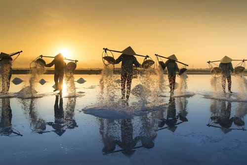 Đẹp ngỡ ngàng cánh đồng muối Bạch Long