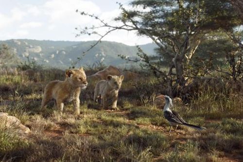 'The Lion King' và màn tái ngộ live-action mãn nhãn sau 1/4 thế kỷ