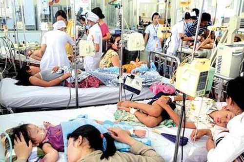 Hà Nội: Yêu cầu sàng lọc người bệnh sốt xuất huyết để ngăn chặn dịch bệnh