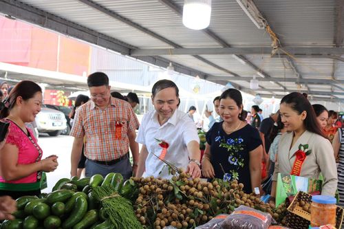 Sơn La: Dự kiến sẽ thu được 8,8 triệu USD từ xuất khẩu nhãn